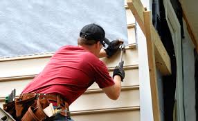 Shed Removal